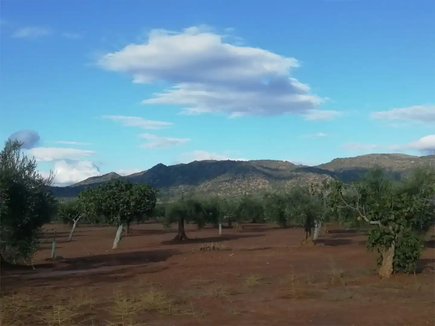 Vista exterior de Terreno en venta en Arroyomolinos (Cáceres)