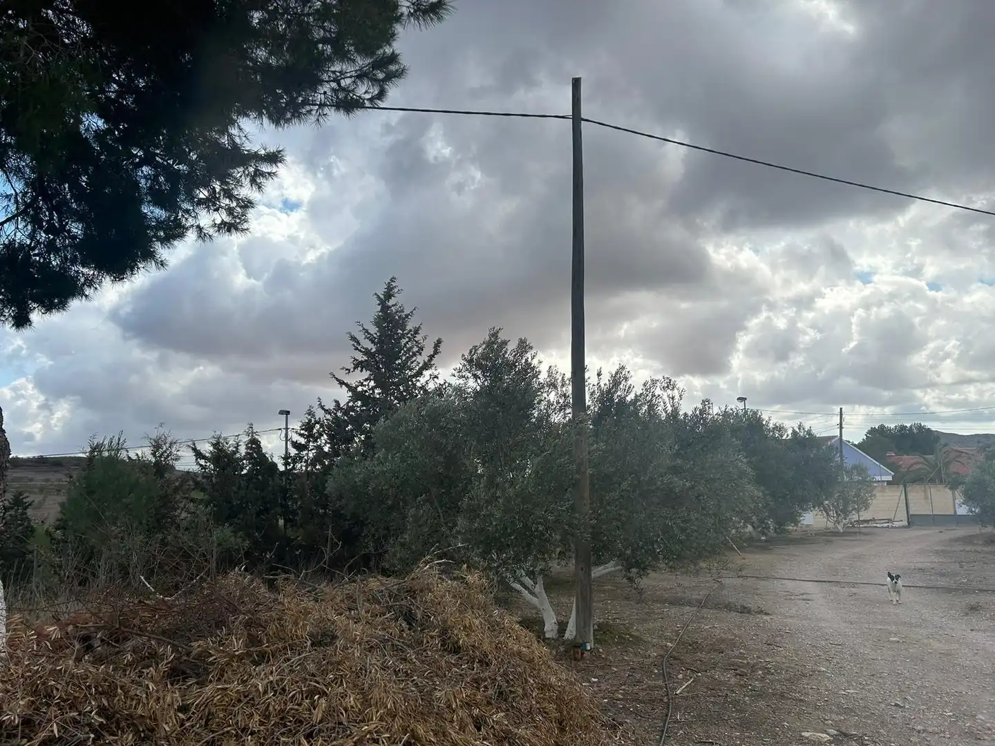 Rustikales Grundstück zum Verkauf in Pedanías Oeste, imagen 25