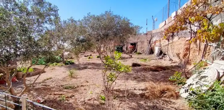 Terreno rustico in vendita a Arico, imagen 25