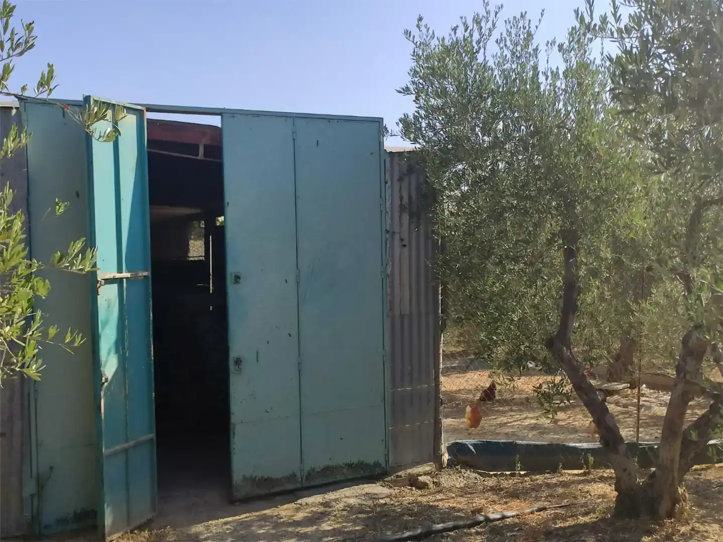 Jardí de Finca rústica en venda en Guillena