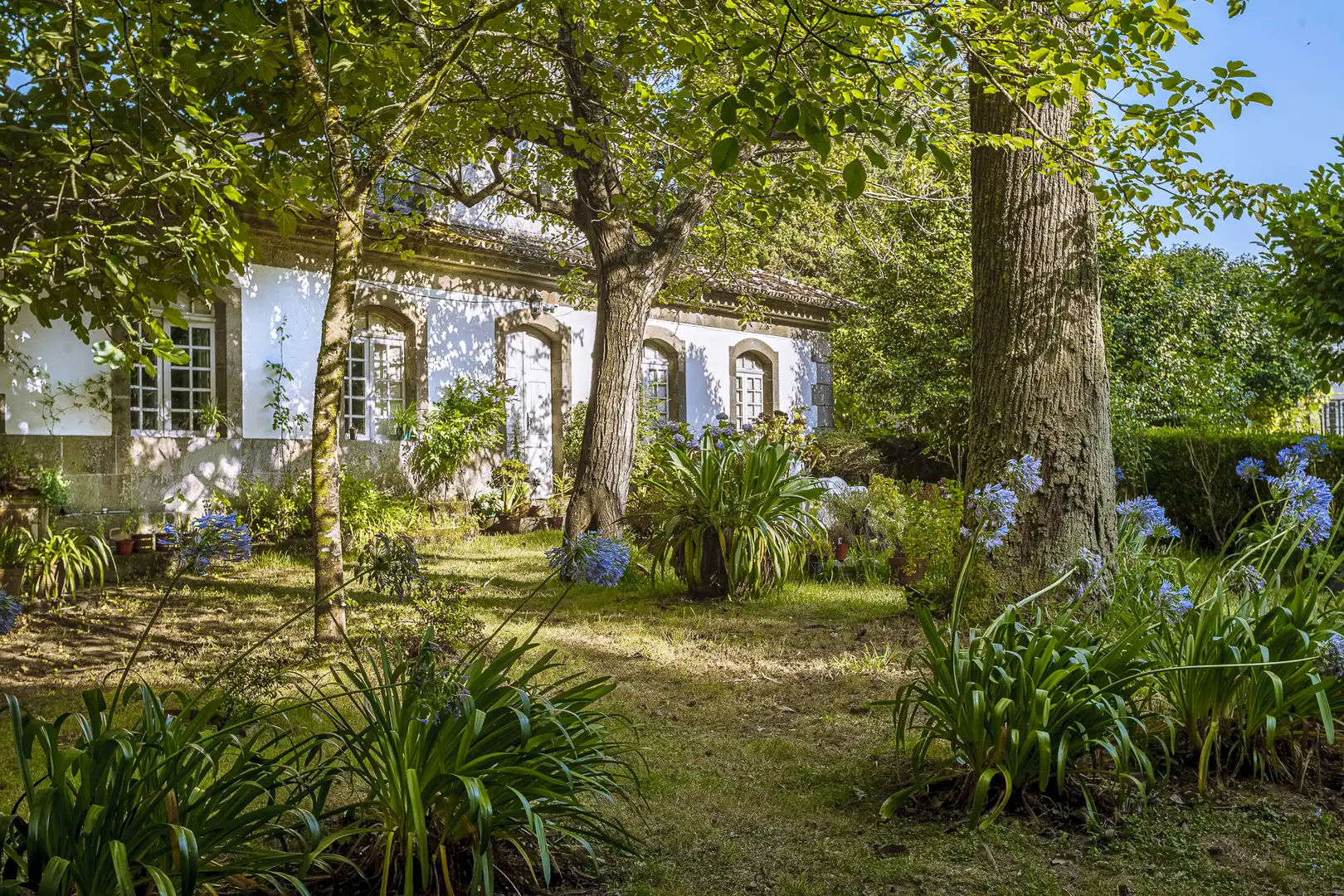 Jardín de Finca rústica en venta en Pontevedra Capital 