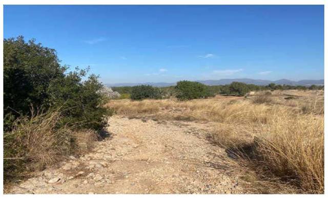 Terreno residencial en Venta en Mas Camarena