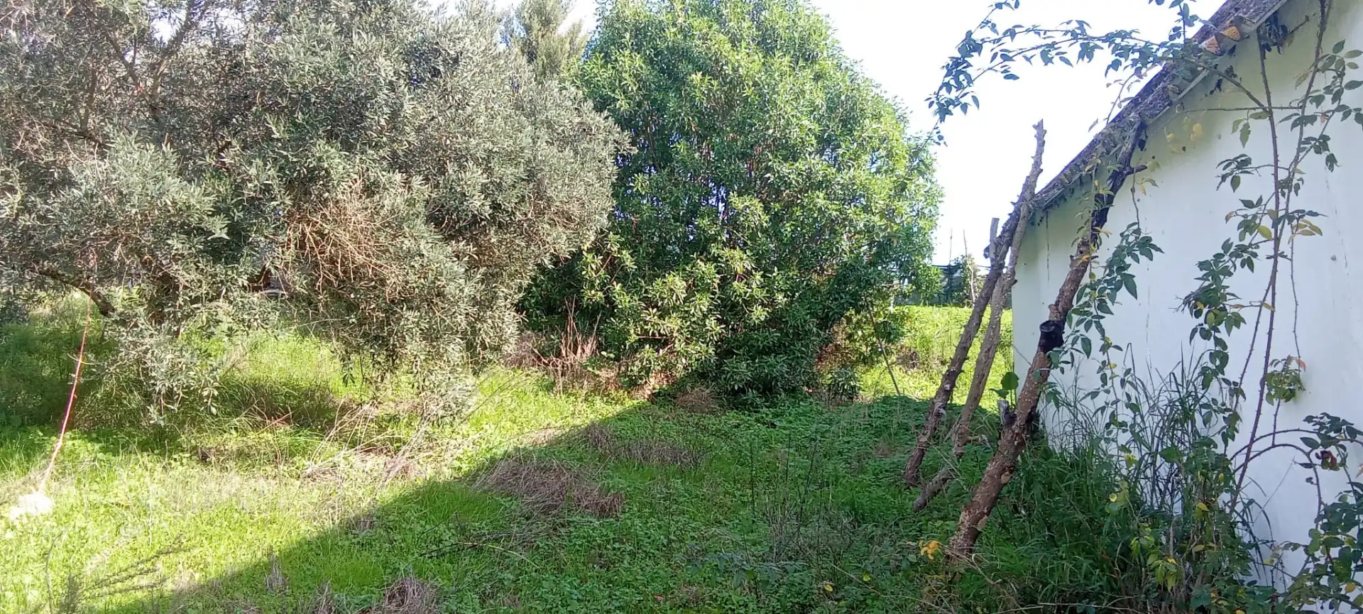 Casa rústica en venda a Vejer, imagen 22
