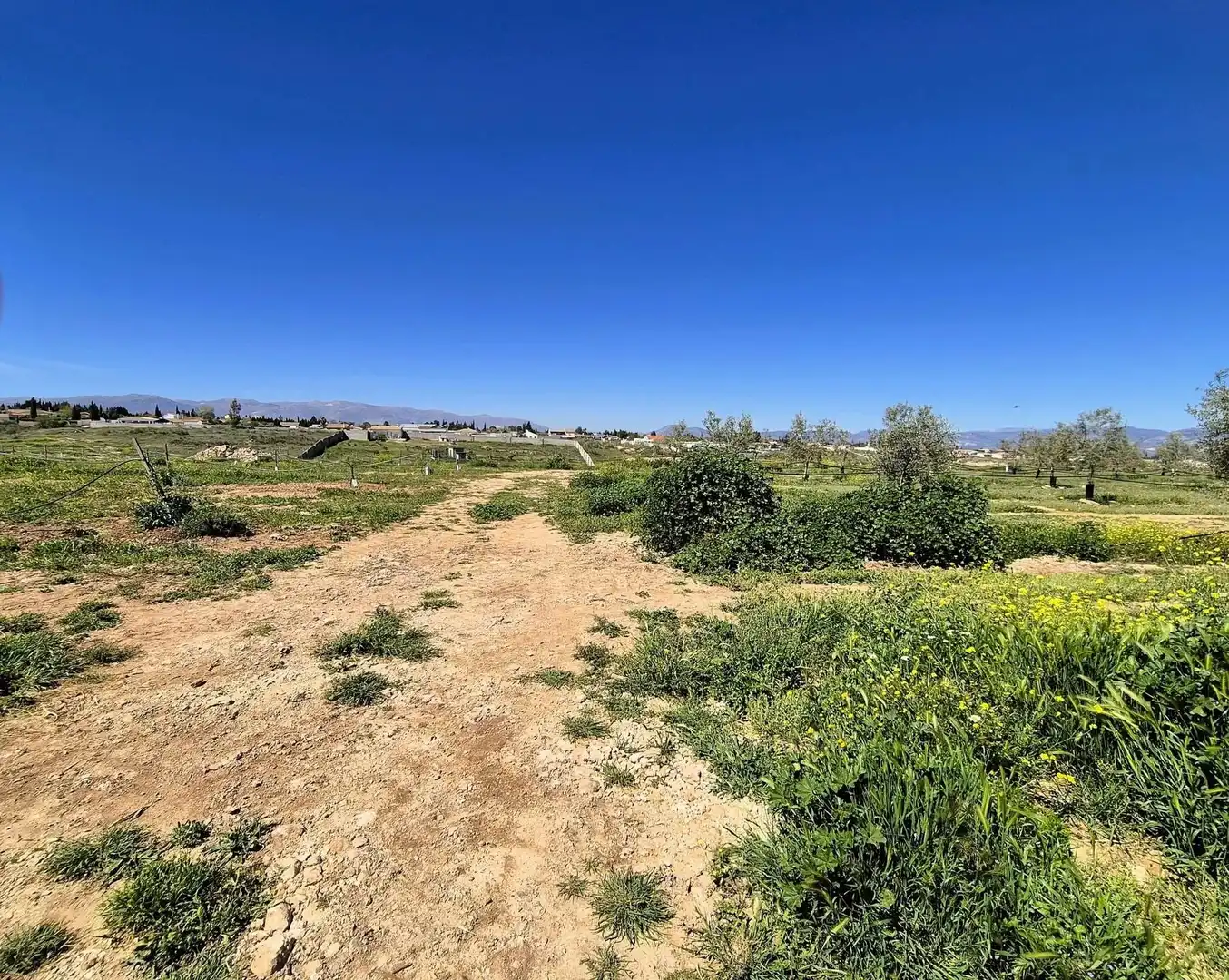 Terreny rústic en venda a Moraleda de Zafayona, imagen 27