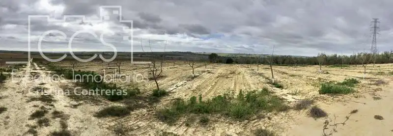 Terreno rústico en venta en Huévar del Aljarafe, imagen 13