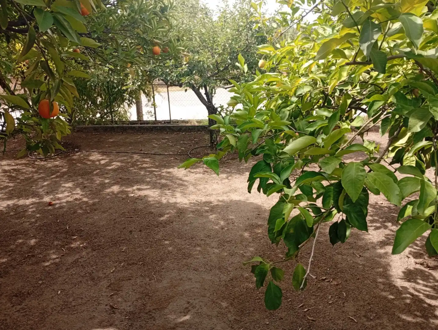 Haus mit Garten zum Verkauf in Villanueva de la Vera, imagen 50