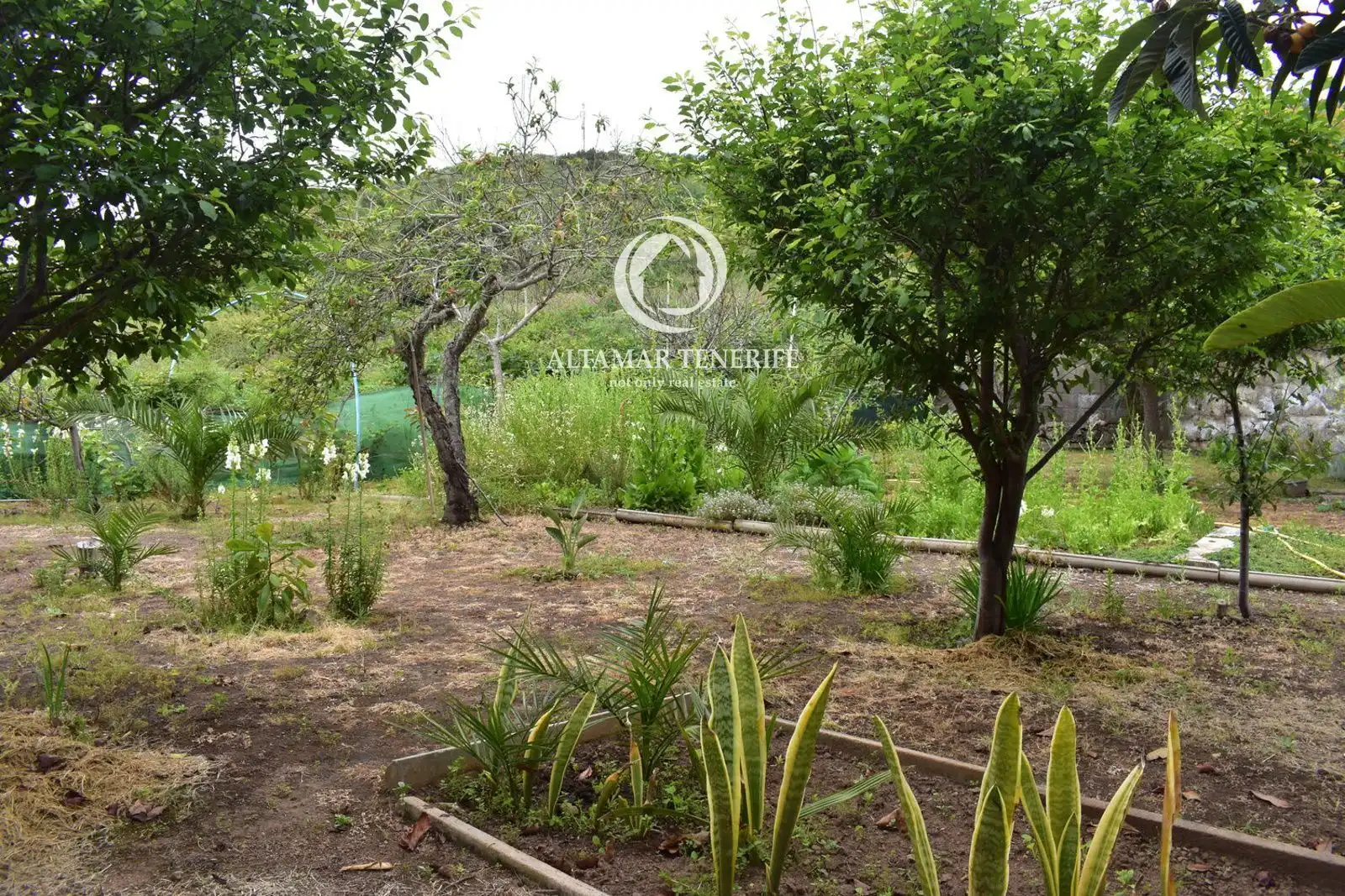 Casa o xalet en venda en Icod de los Vinos amb Terrassa, Traster i Moblat