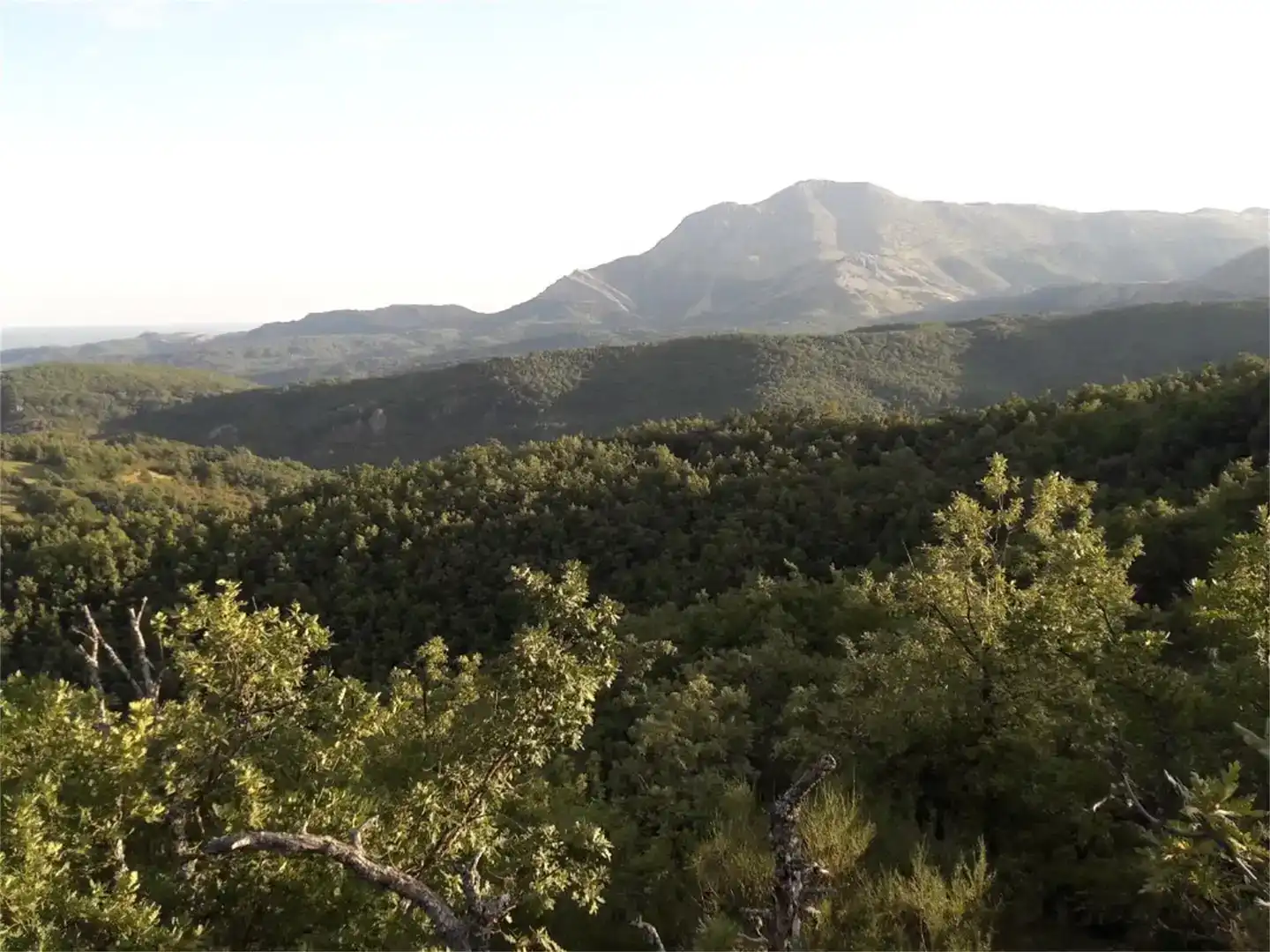 Vista exterior de Finca rústica en venta en Valderrueda