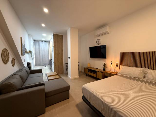 Estudio en Alquiler en Calle Maestro Guerrero en Parque Ayala - Jardín de la Abadía - Huelín