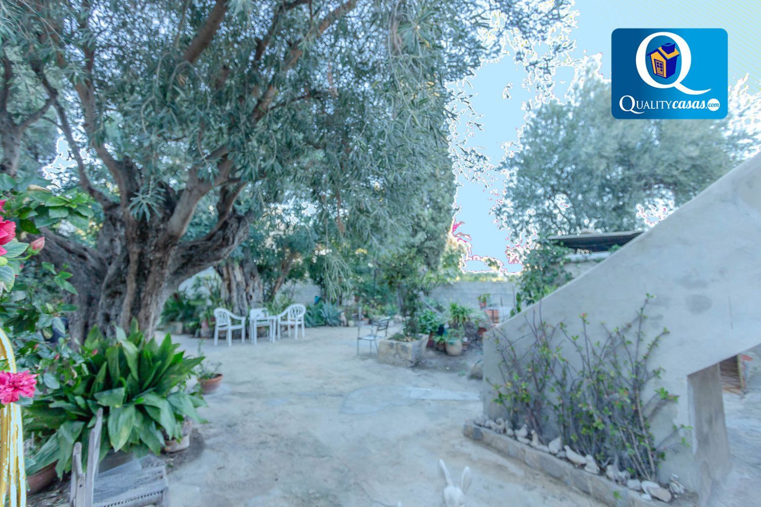 Jardín de Casa o chalet en venta en Sant Joan d'Alacant