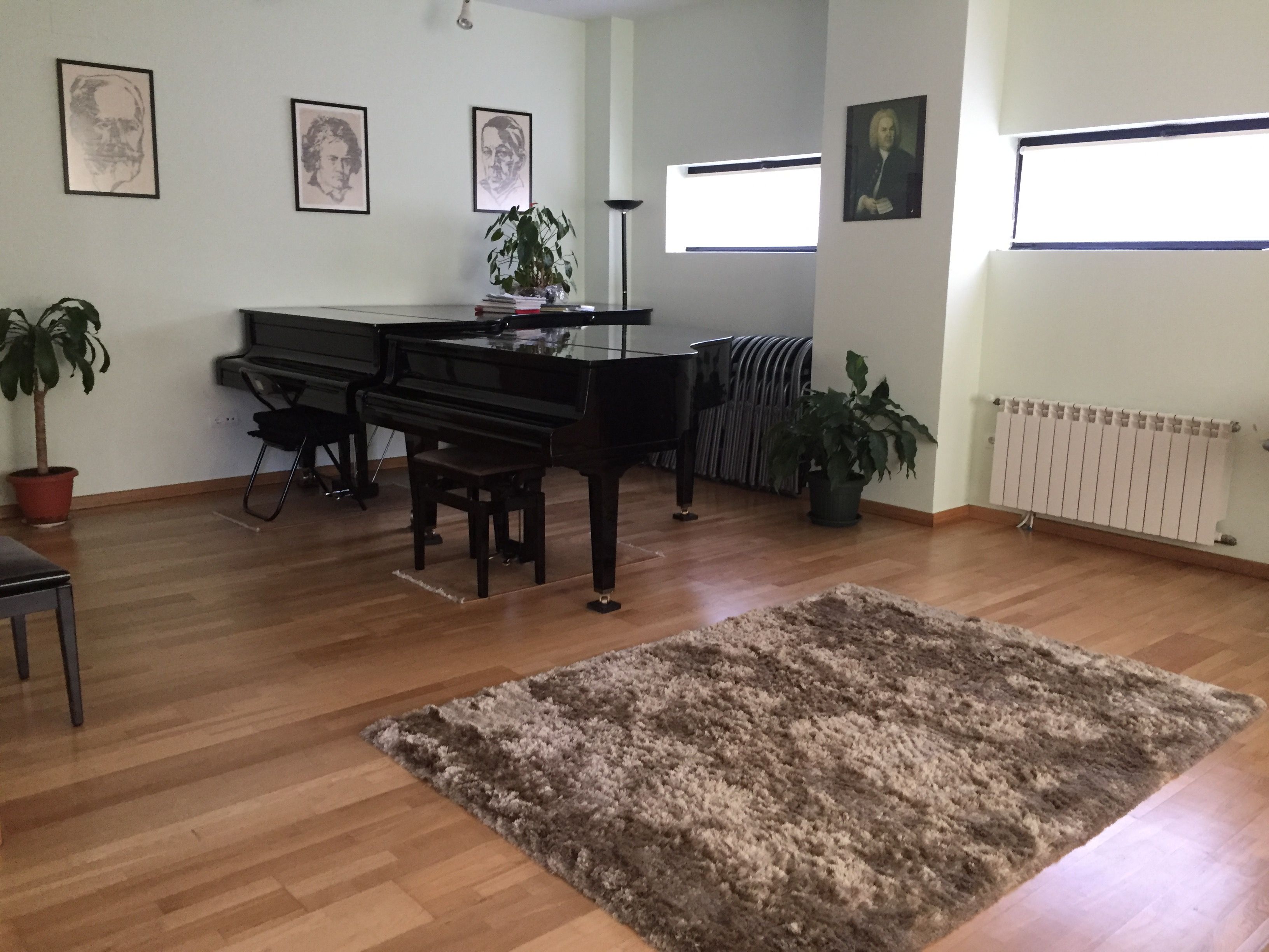 Living room of Flat for sale in Santiago de Compostela   with Furnished