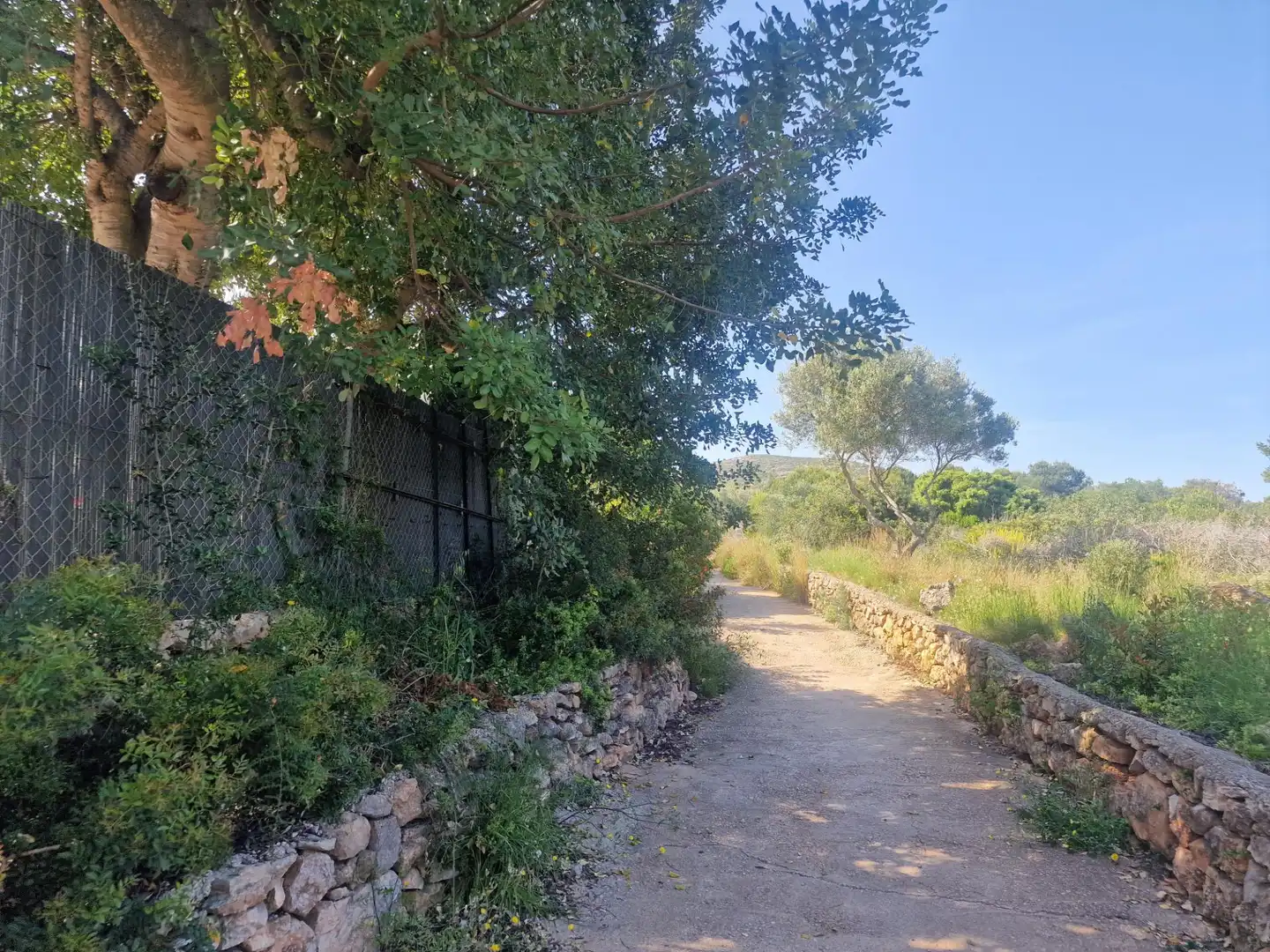 Apartamento con piscina en venta en Carrer REALENC UR FONT NOVA, imagen 33