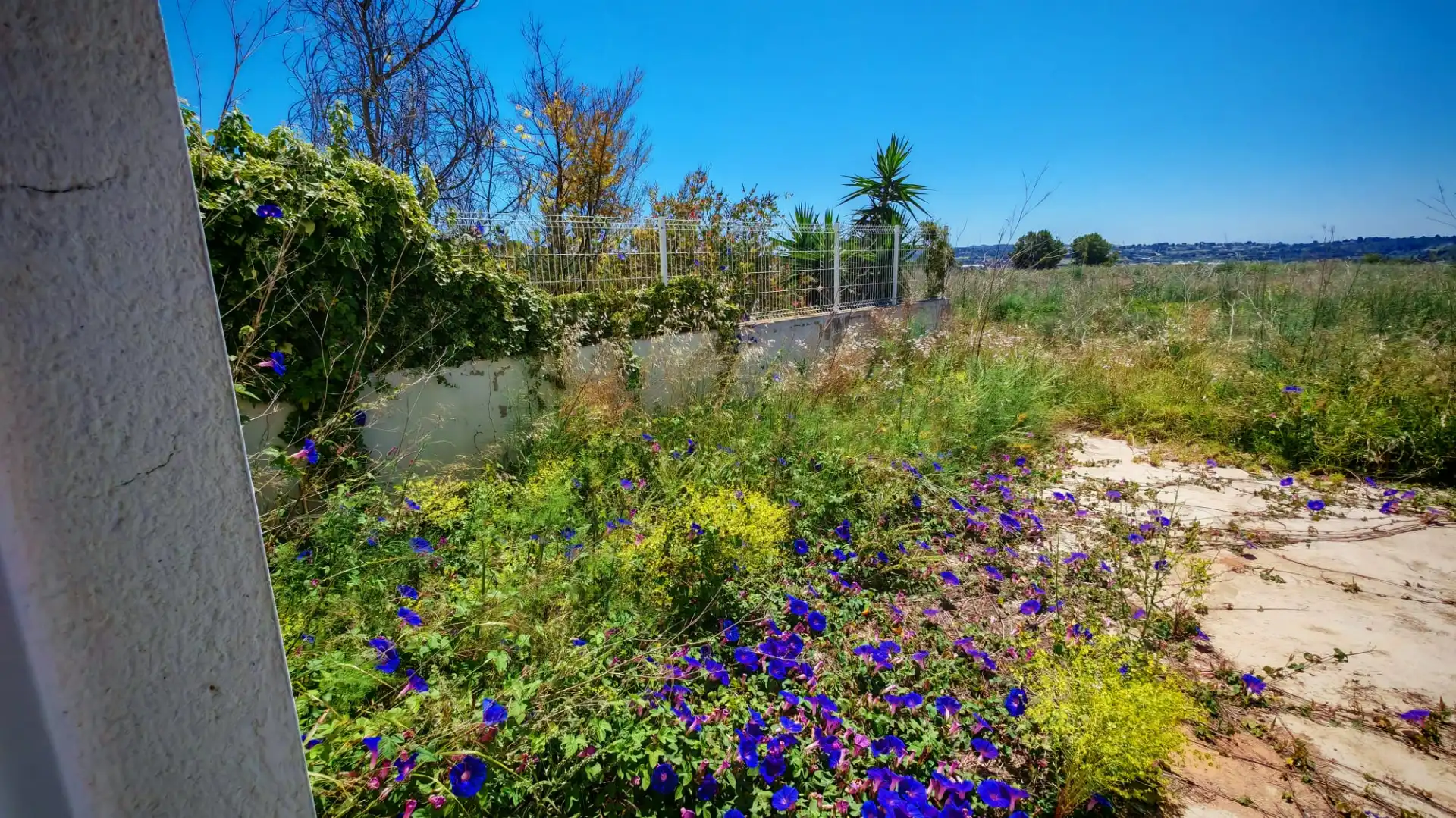 Villa con terrazza in vendita a Colònia Motor del Vicari 827, imagen 25