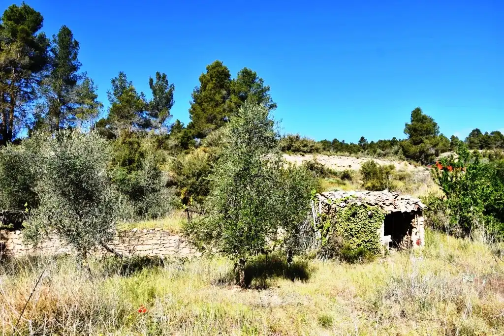 Terreny rústic en venda a La Fresneda, imagen 2