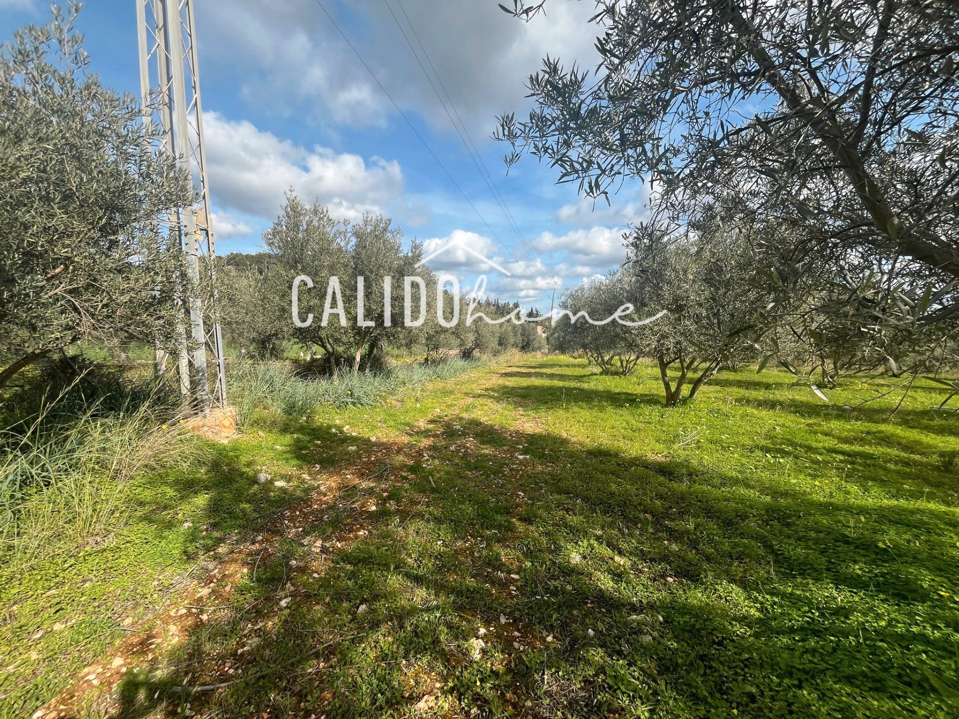 Grundstücke zum verkauf in Lloseta