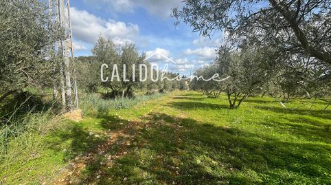 Terreno en venta, immagine 4
