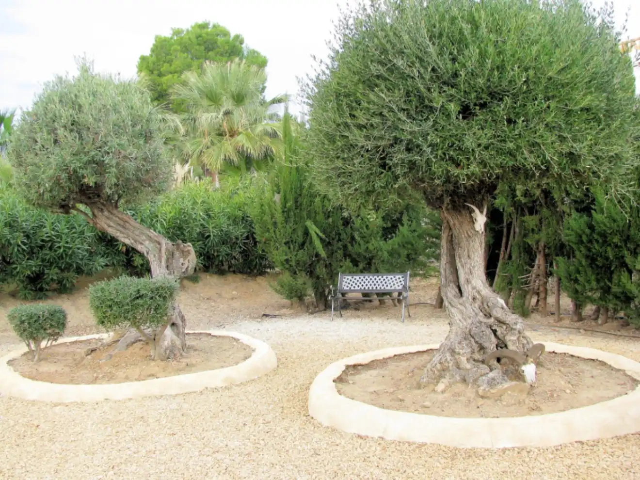 Casa rústica amb piscina en venda a Altea ciudad, imagen 9