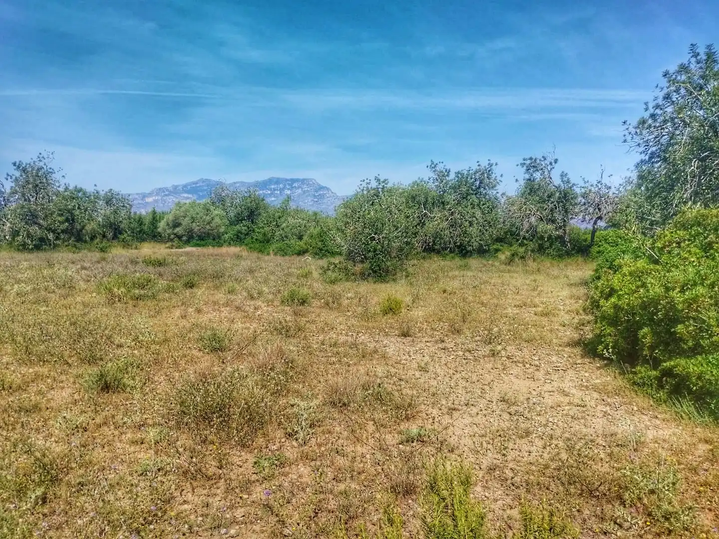 Terrain rustique à vendre à Roquetes, imagen 16
