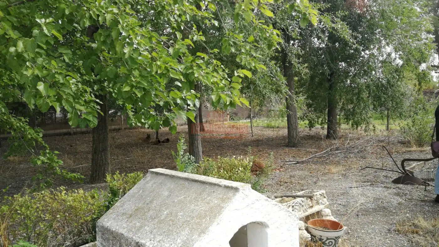 Garten von Haus oder Chalet zum Verkauf in Albacete mit Abstellraum und Balkon