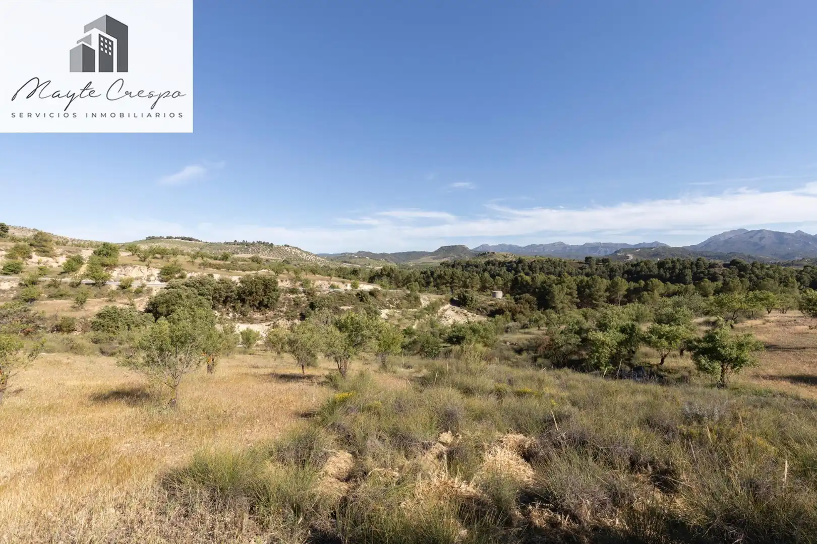 Casa rústica con terraza en venta en Calle GR-3307, Arenas del Rey, Granada GR-3307, imagen 50