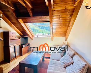 Living room of Flat for sale in La Vall de Boí