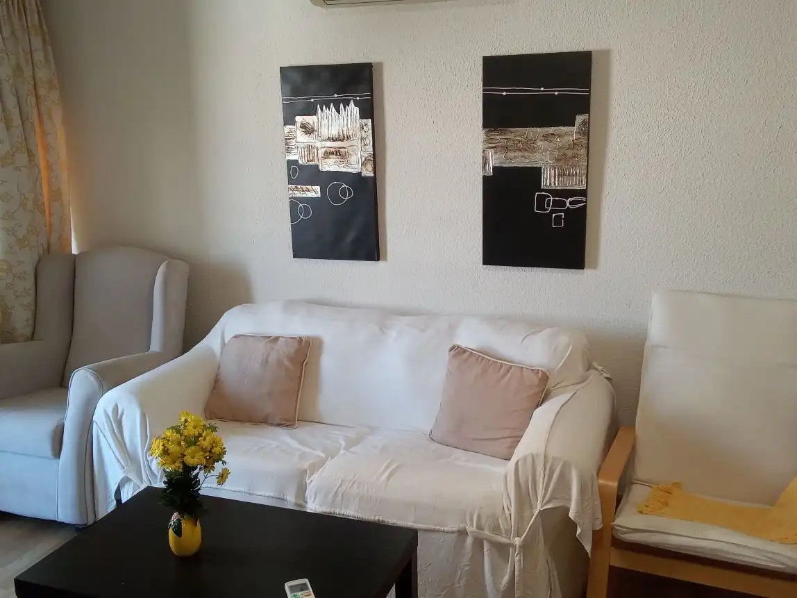 Sala d'estar de Pis de lloguer en Sur