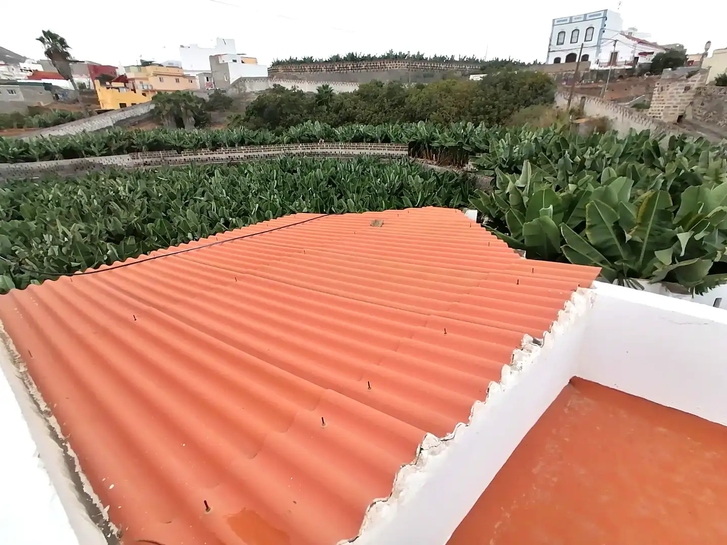 Vista exterior de Casa o xalet de lloguer en Arucas amb Jardí privat, Terrassa i Traster