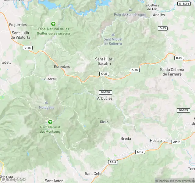Piso en venta en Arbúcies