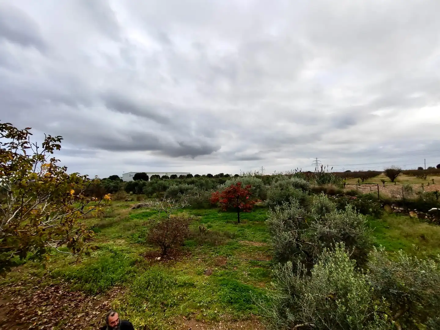 Land for sale in Vilallonga del Camp