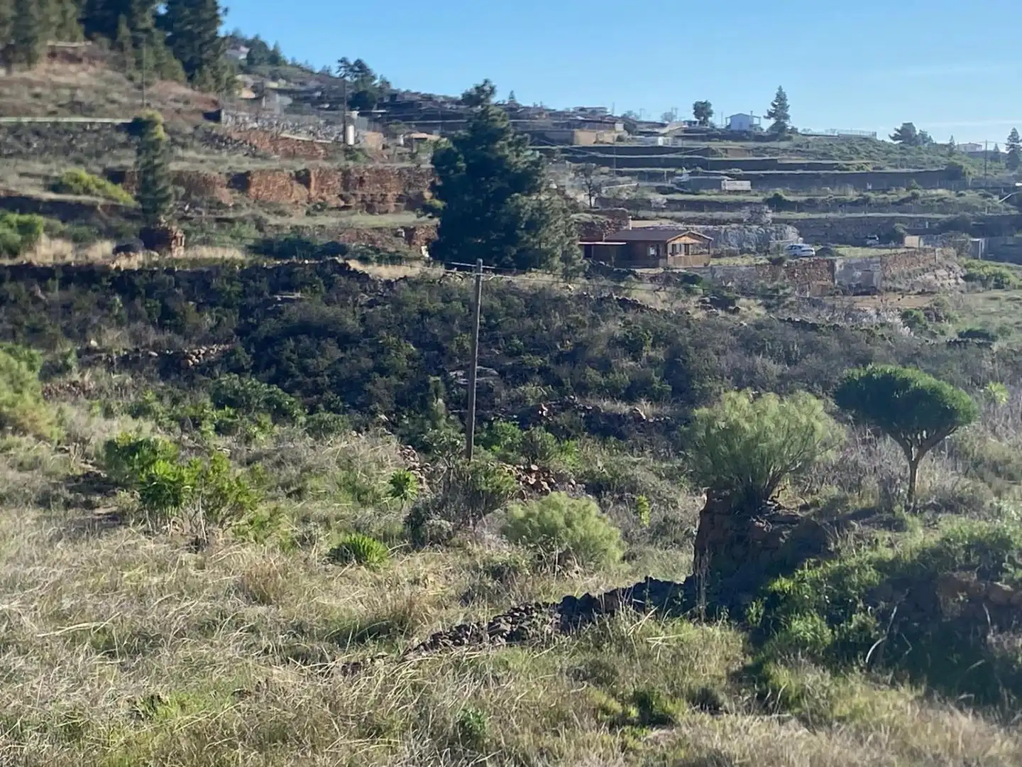 Land for sale in Granadilla de Abona