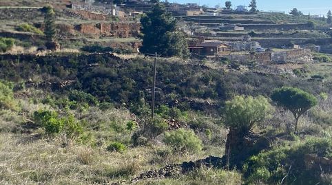 Foto 3 de Terreno en venta en Charco del Pino, Granadilla de Abona