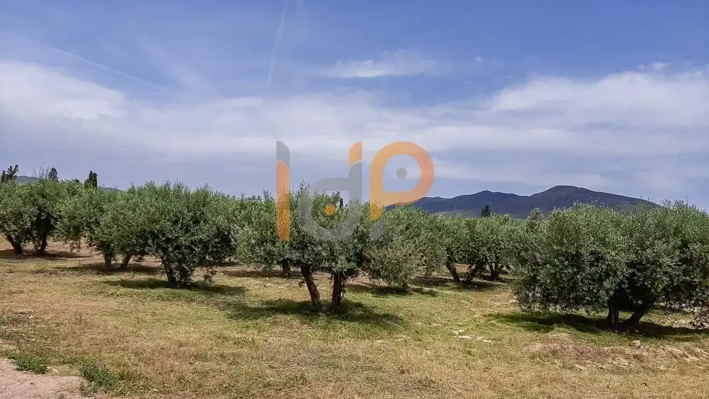 Terrain rustique à vendre à Huércal-Overa