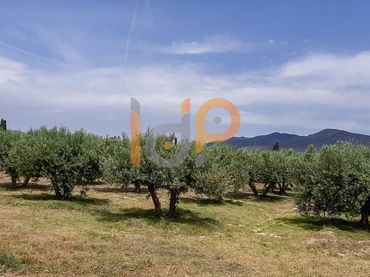 Rustikales Grundstück zum Verkauf in Huércal-Overa