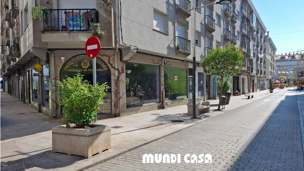 Local comercial de lloguer a PABLO IGLESIAS, imagen 8
