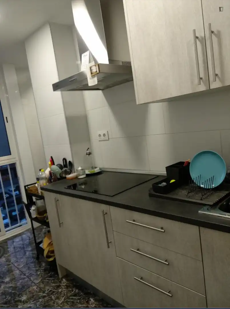 Cuina de Apartament per a compartir en Badalona amb Calefacció, Moblat i Rentadora