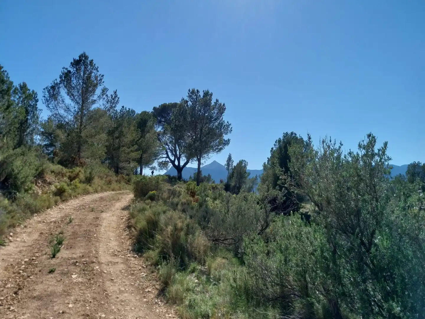 Terreno rustico in vendita a Lugar Castillo, imagen 23