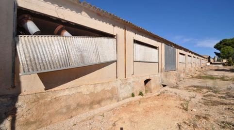 Photo 4 of Industrial buildings to rent in Platges, Tarragona