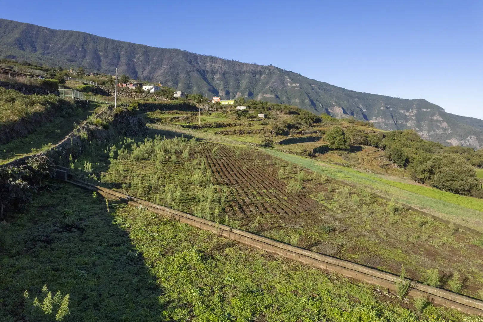 Country house zum Verkauf in Los Realejos