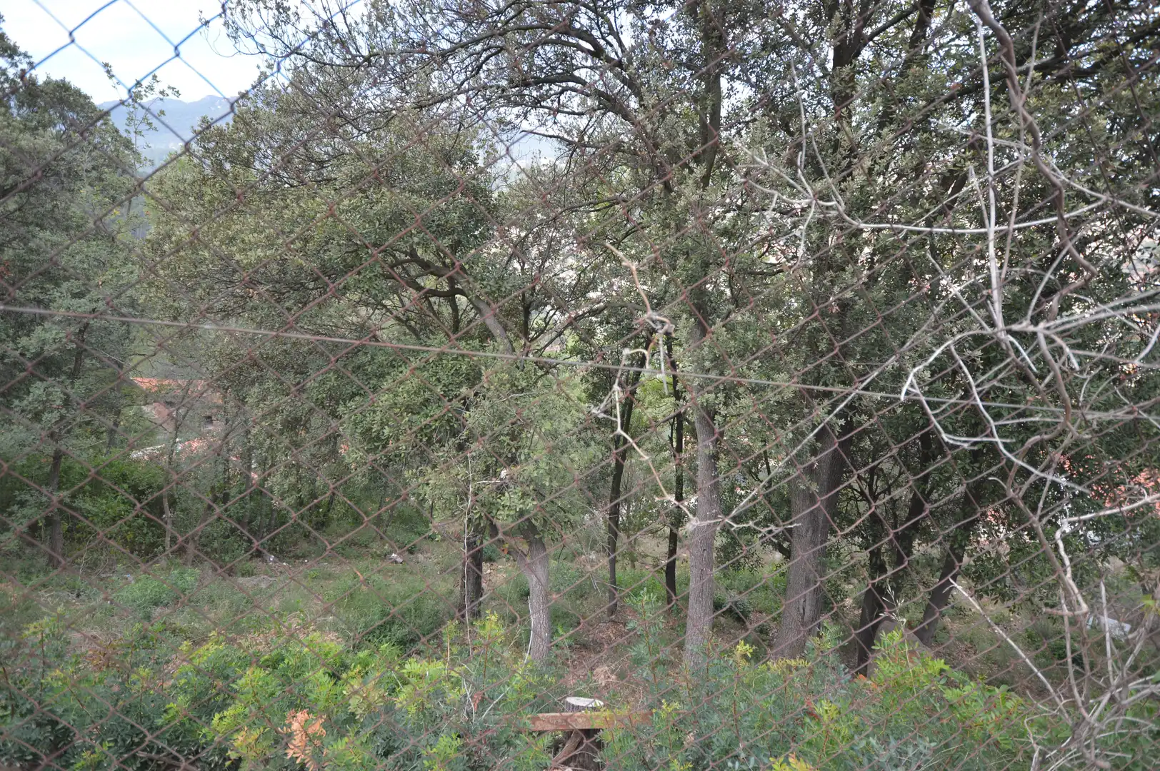 Wohnbaugrundstück zum Verkauf in Camí de Sòcies, imagen 10