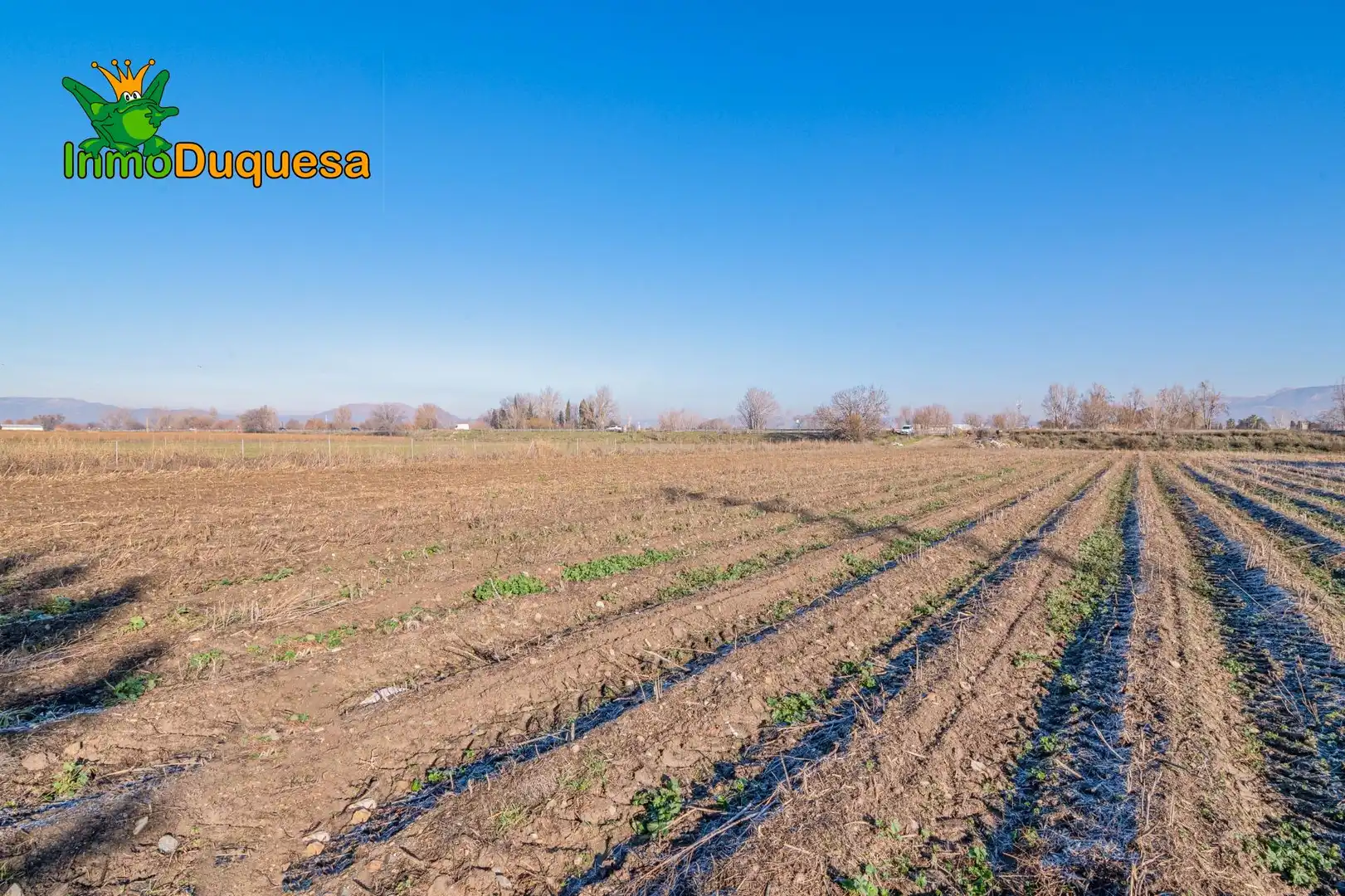 Casa rústica en venda a Ronda, imagen 21