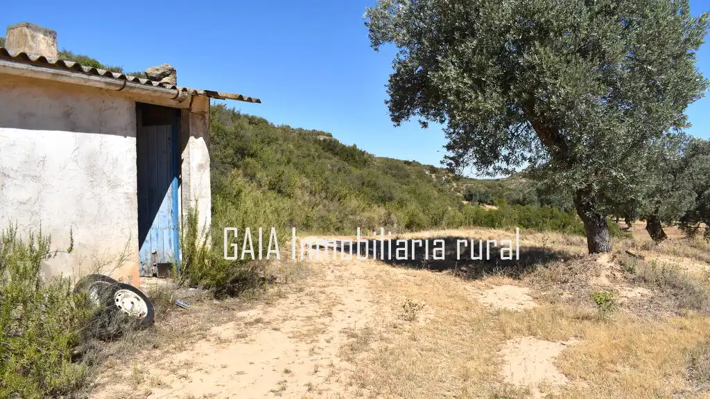 Casa rústica en venda a Maella, imagen 3