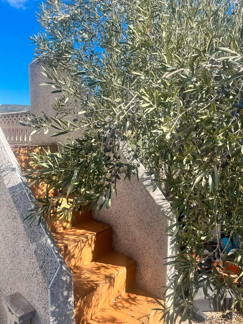 Jardín de Casa o chalet en venta en Aiguamúrcia con Jardín privado, Terraza y Trastero