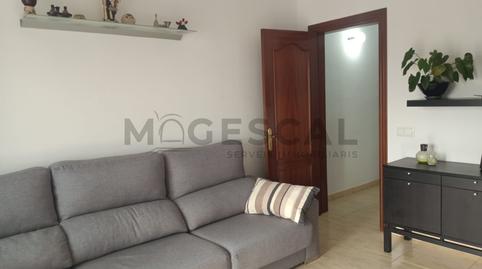 Foto 3 de Piso en venta en De Sant Galdric, Palau-solità i Plegamans, Barcelona