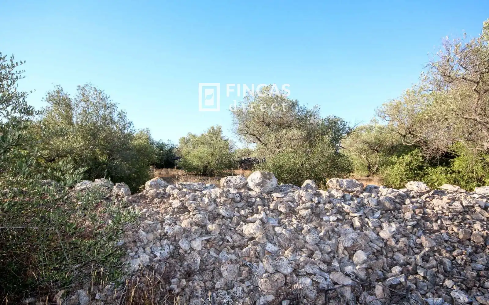 Country homes for sale in Xerta