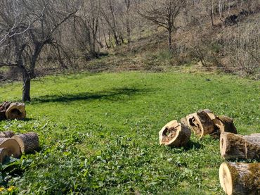 Terreno rustico in vendita a Barrio de los Dobres