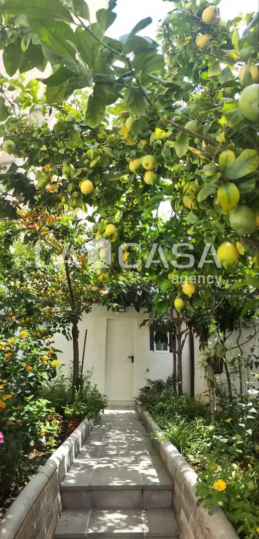 Vista exterior de Casa o xalet en venda en Badalona amb Calefacció, Terrassa i Balcó