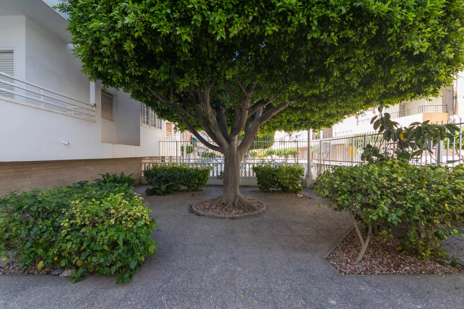 Vista exterior de Pis en venda en Santa Pola amb Aire condicionat, Terrassa i Traster