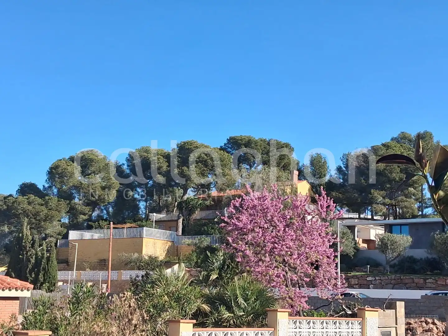 Residential land for sale in Camino de la Creu d'Horquera, imagen 7