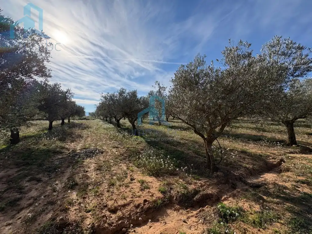 Finca rústica en venta en Gandesa