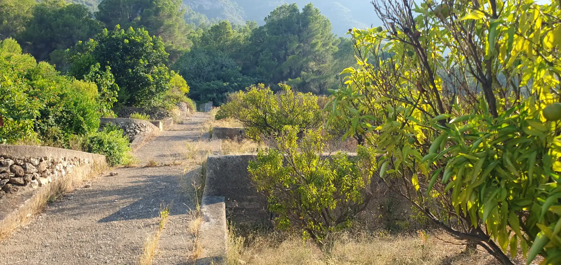 Terrain rustique à vendre à Diseminado Casa Canet, imagen 3